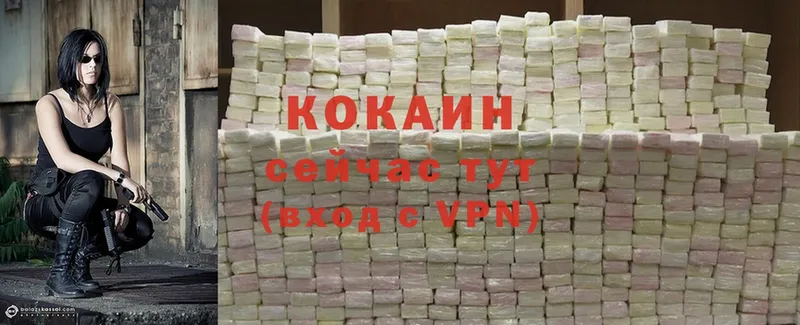 COCAIN Fish Scale  Уржум 